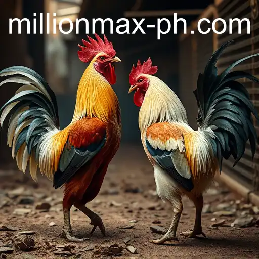 Exploring the Controversial World of Cockfighting and MillionMax